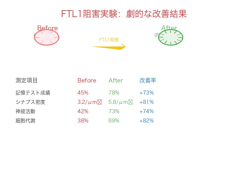 FTL1阻害実験の劇的な改善結果：老化脳の若返り効果