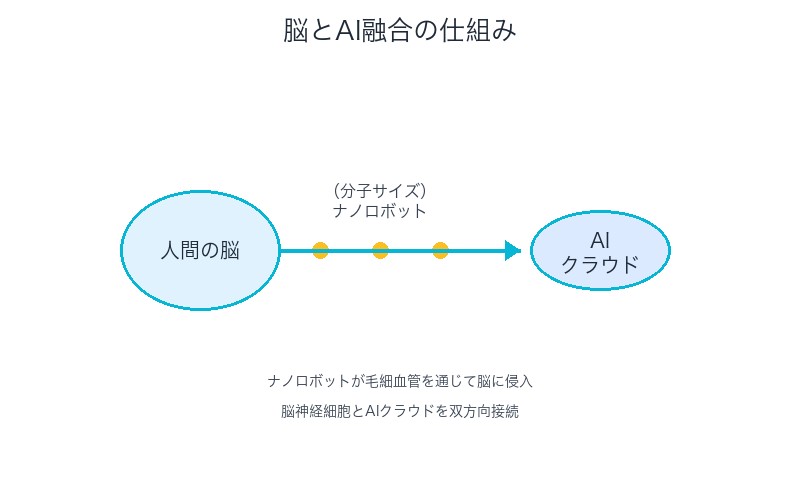 脳とAI融合の仕組み
