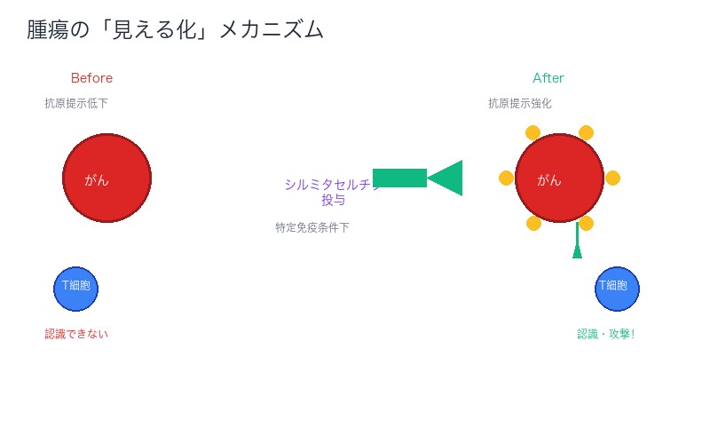 腫瘍の見える化メカニズム
