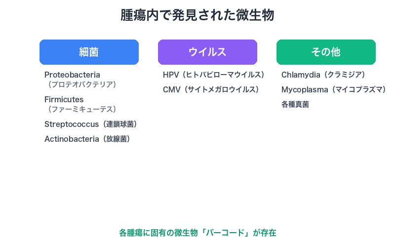 腫瘍内で発見された微生物の種類