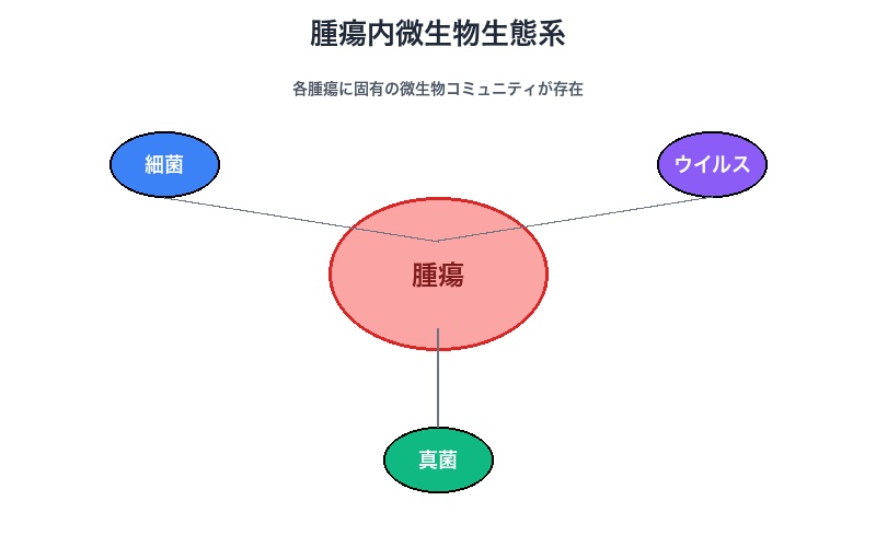 腫瘍内微生物生態系の全体像