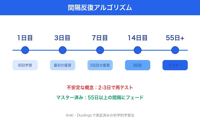 間隔反復アルゴリズムの仕組み