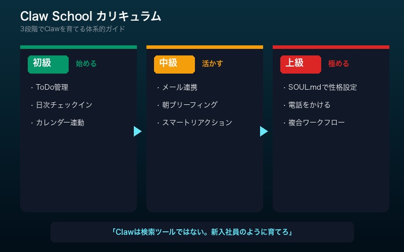 Claw Schoolのカリキュラム──初級・中級・上級の3段階を示すタイムライン